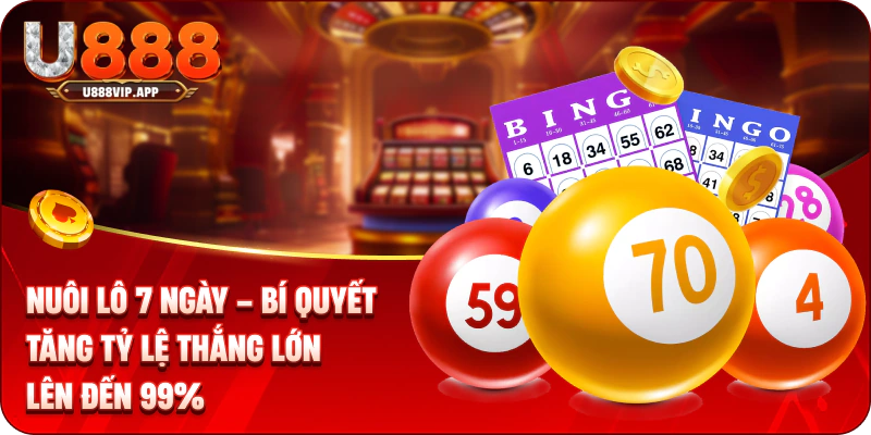 Nuôi Lô 7 Ngày – Bí Quyết Tăng Tỷ Lệ Thắng Lớn Lên Đến 99%